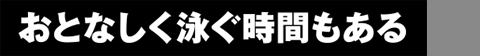 おとなしく泳ぐ時間もある